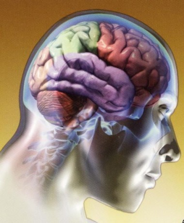 Neurocirurgia